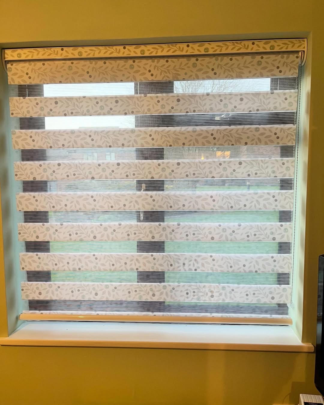 Day and night blinds open